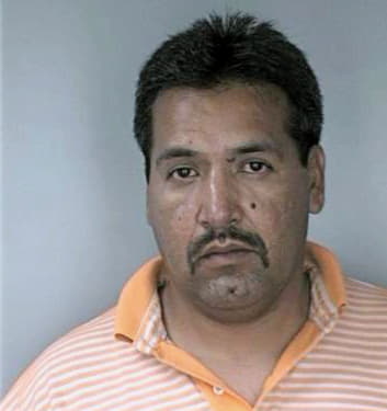 Carlosmuro Primitivo - Hillsborough County, FL 