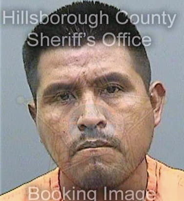 Martinezgonzalez Mynor - Hillsborough County, FL 