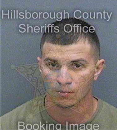 Olson Jason - Hillsborough County, FL 