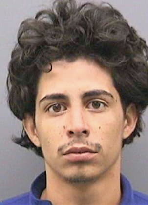 Brito Christopher - Hillsborough County, FL 