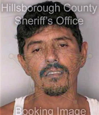 Trevino Gregory - Hillsborough County, FL 