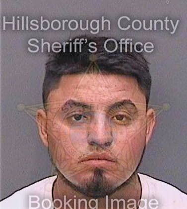 Paniaguahernandez Edgardo - Hillsborough County, FL 