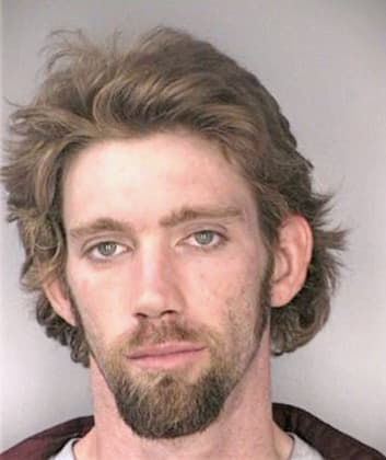 Mcmanus Shaun - Hillsborough County, FL 