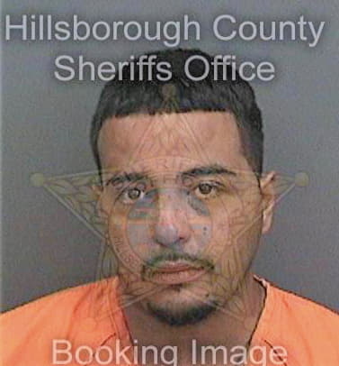 Sanchez Carlos - Hillsborough County, FL 