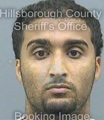 Mathew Arun - Hillsborough County, FL 