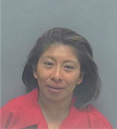 Mejia Francisca - Lee County, FL 