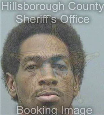 Seago Terry - Hillsborough County, FL 