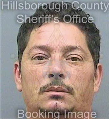 Gonzalez David - Hillsborough County, FL 