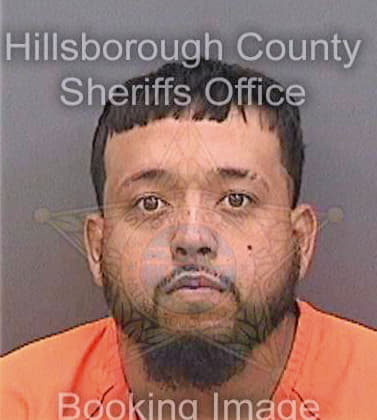 Davila Jose - Hillsborough County, FL 