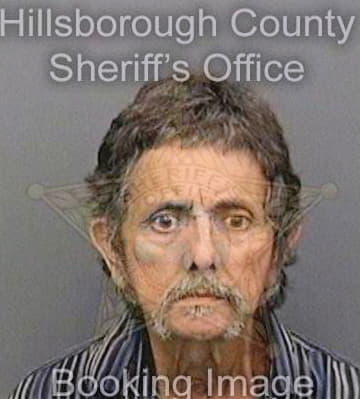 Diaz Ramiro - Hillsborough County, FL 