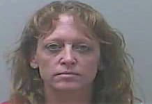 Letts Terrie - Midland County, MI 