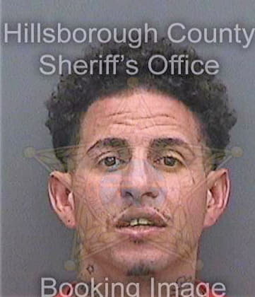 Gonzalez Xavier - Hillsborough County, FL 