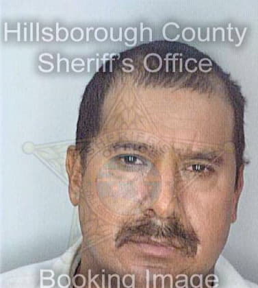 Hernandez Heriberto - Hillsborough County, FL 