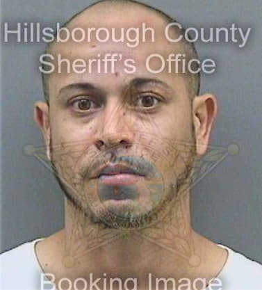 Otero Joel - Hillsborough County, FL 