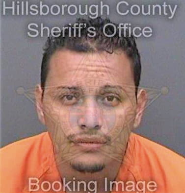 Gonzalezmartinez Jose - Hillsborough County, FL 