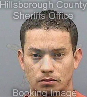 Gomezroman Hector - Hillsborough County, FL 