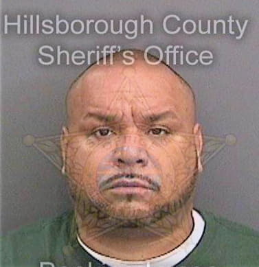 Pantoja Hermino - Hillsborough County, FL 