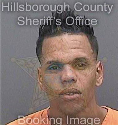 Duranmarquez Maikol - Hillsborough County, FL 