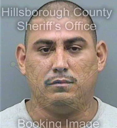 Garcia Delmiro - Hillsborough County, FL 