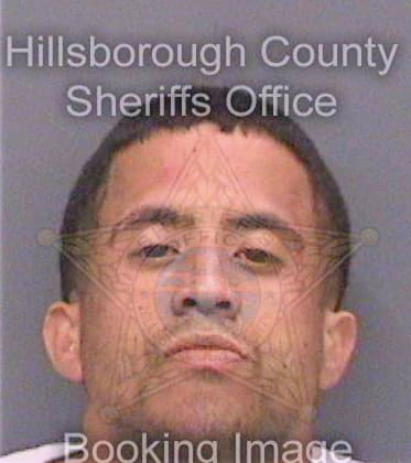 Cardona Anthony - Hillsborough County, FL 