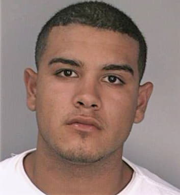 Meza Jose - Hillsborough County, FL 
