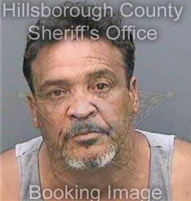 Perez Anibal - Hillsborough County, FL 