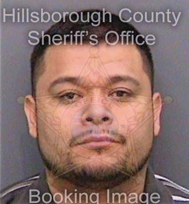 Vargas Carlos - Hillsborough County, FL 