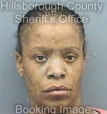 Nicholson Wendy - Hillsborough County, FL 