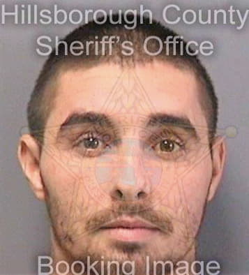 Wasden George - Hillsborough County, FL 