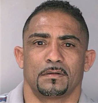 Fernandez Leonardo - Hillsborough County, FL 