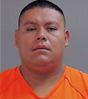 Hernandez Luis - Hidalgo County, TX 