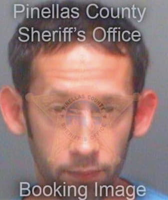 Bevan Michael - Pinellas County, FL 