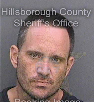 Driggers Sean - Hillsborough County, FL 