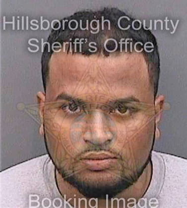 Patel Ankoor - Hillsborough County, FL 