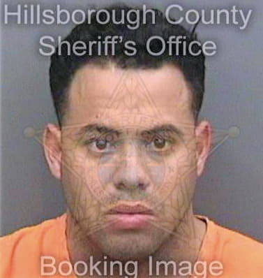 Suarezpena Leandro - Hillsborough County, FL 