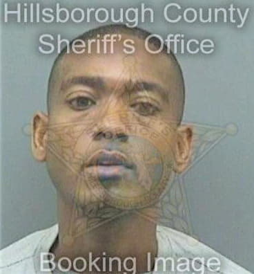 Hicks Craig - Hillsborough County, FL 