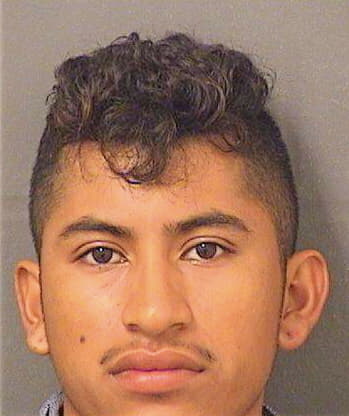 Lopezsamayoa Fredy - PalmBeach County, FL 