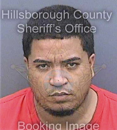 Gonzalezrodrigue Matts - Hillsborough County, FL 