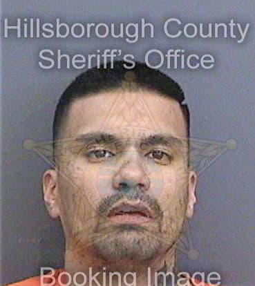 Velez Steven - Hillsborough County, FL 