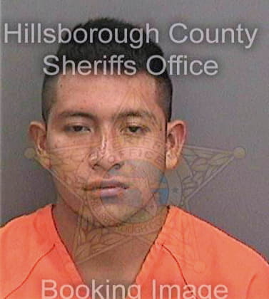 Matiasdomingo Fidel - Hillsborough County, FL 