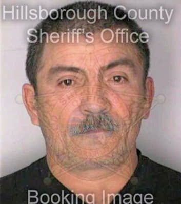 Garcia Roberto - Hillsborough County, FL 