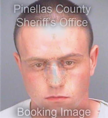 Poldolskiy Valeriy - Pinellas County, FL 