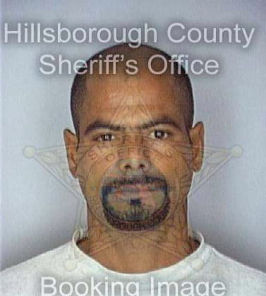 Torres Manuel - Hillsborough County, FL 