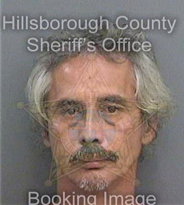 Noland Van - Hillsborough County, FL 