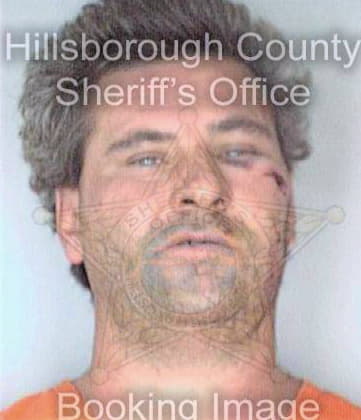 Meseck Ronald - Hillsborough County, FL 