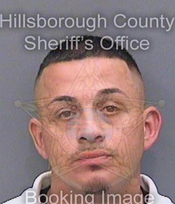 Barron Anthony - Hillsborough County, FL 