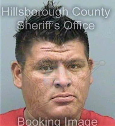 Diaz Ernesto - Hillsborough County, FL 