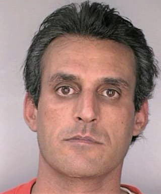 Singh Karl - Hillsborough County, FL 