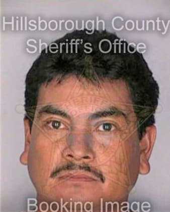 Miranda Armando - Hillsborough County, FL 