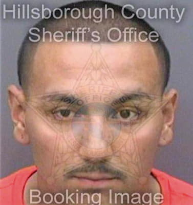 Ortizmartinez Miguel - Hillsborough County, FL 